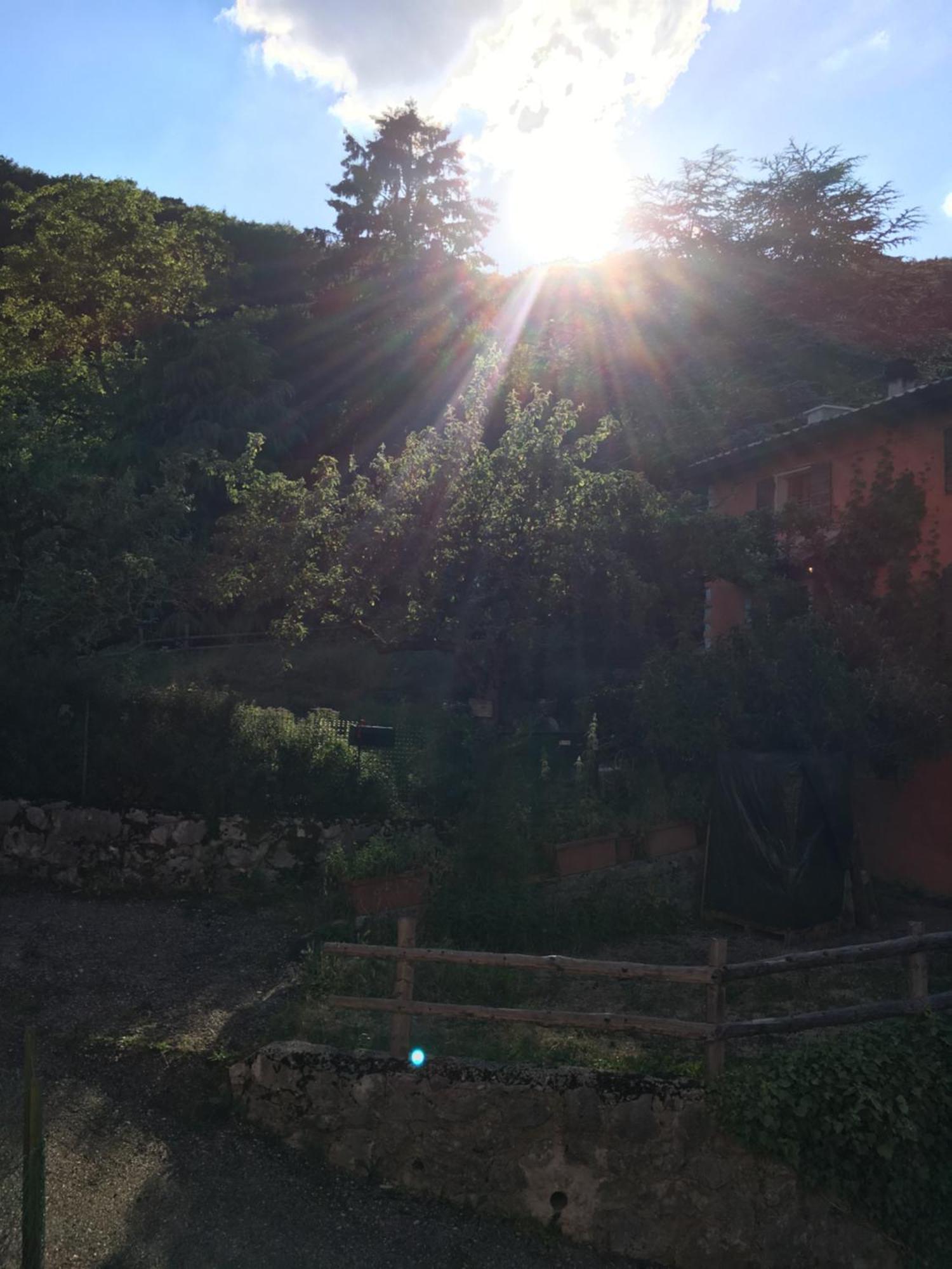 Ferrara di Monte Baldo Ca' Rosina. Una Casetta Nel Bosco. מראה חיצוני תמונה